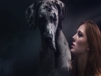 Kinky chick loves dog so much and have sex with it